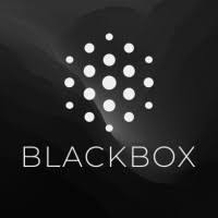 BLACKBOX.AI | LinkedIn